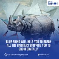 Blue Rhino Agency image 6